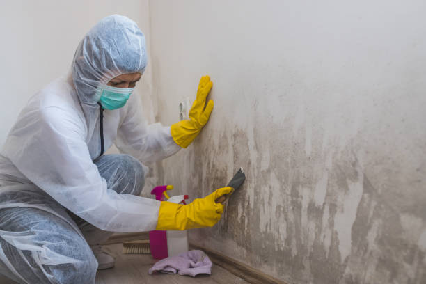 Best Asbestos and Lead Testing During Mold Inspection  in Tyndall Af, FL