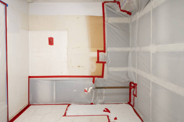 Best Mold Removal for HVAC Installations  in Tyndall Af, FL