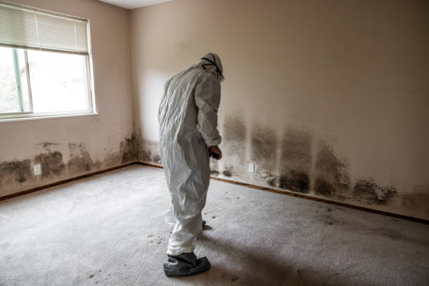 Best Airborne Mold Testing  in Tyndall Af, FL