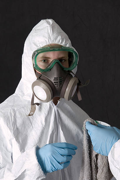 Best Emergency Mold Remediation  in Tyndall Af, FL